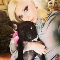 Lady Gaga's pet Miss Asia Kinney (aka BATPIG)