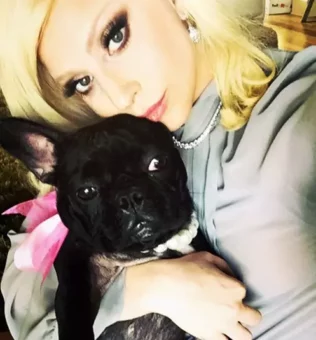 Lady Gaga Pets