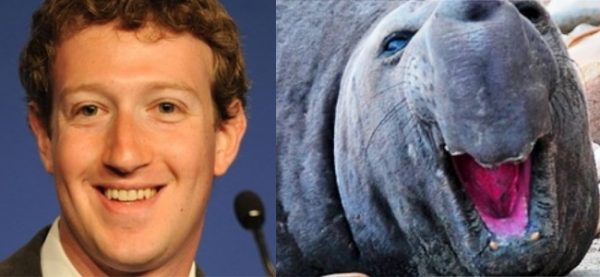 Mark Zuckerberg Sean Lion