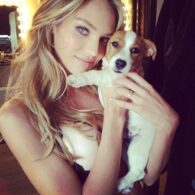 Candice Swanepoel's pet Milo Swanepoel