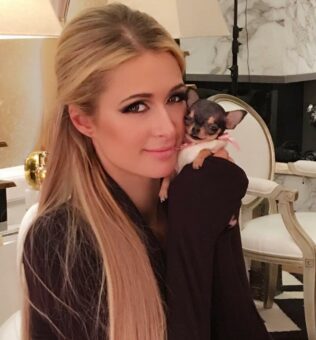 Paris Hilton Pets