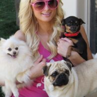 Paris Hilton's pet Mugsy