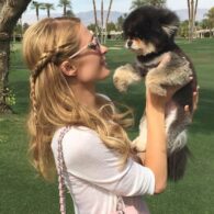 Paris Hilton's pet Baby Bear