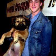 Ryan Gosling's pet George Gosling