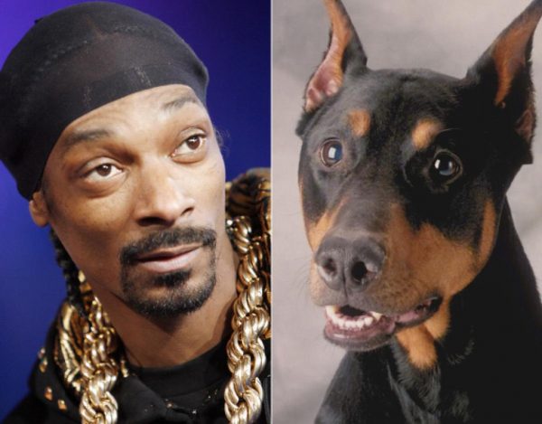 Snoop Dogg Doberman Pinscher