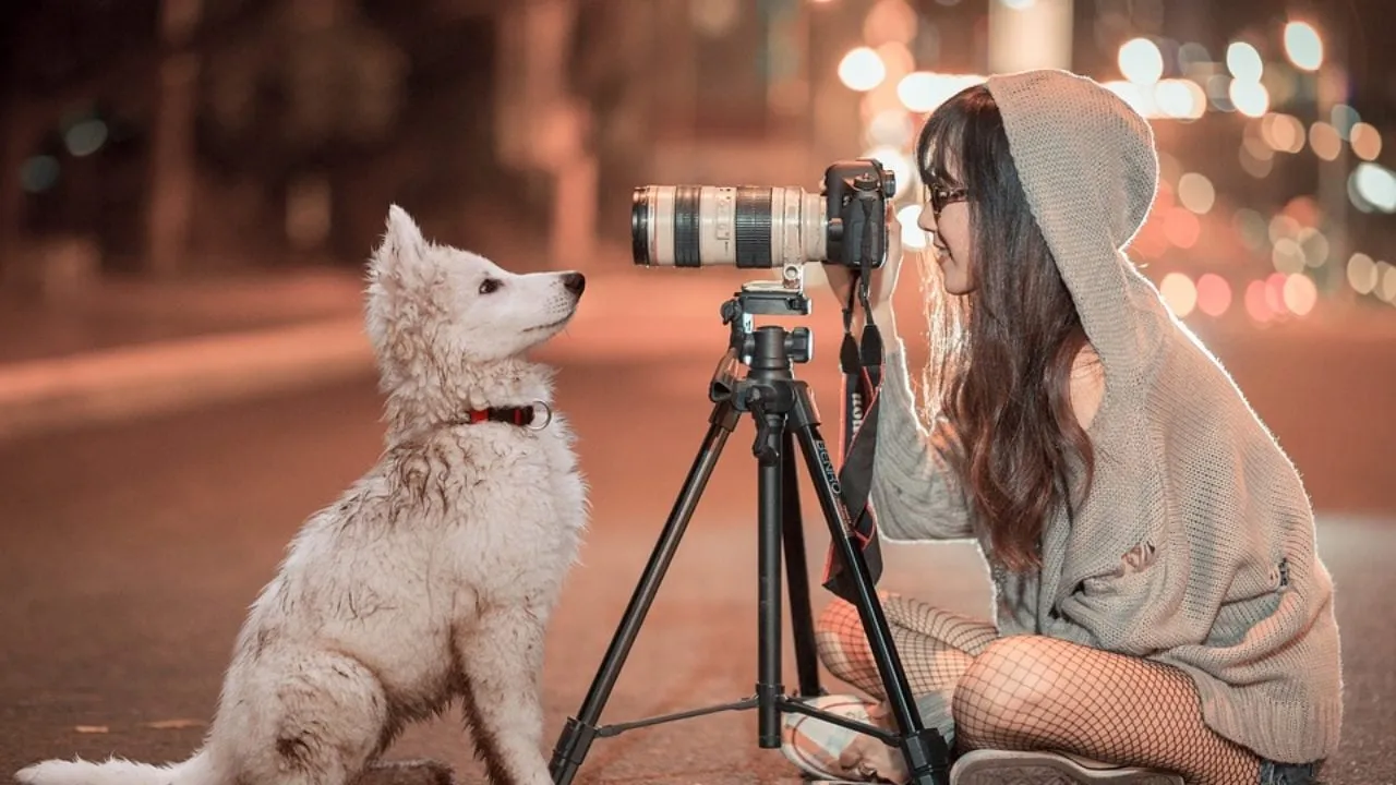 5 Ways to Make Your Pet a Social Media Superstar - Celebrity Pets