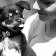 Ariana Grande's pet Coco