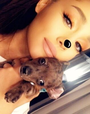 Ariana Grande Pets