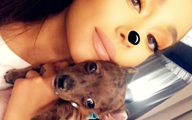 Ariana Grande Pets