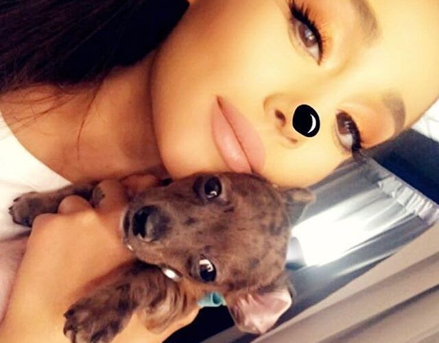 Ariana Grande Pets