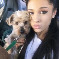 Ariana Grande's pet Strauss