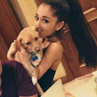 Ariana Grande's pet Toulouse Grande