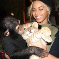 Beyonce and Monkey and a Tiger
