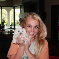 Britney Spears' pet Lacey Loo Spears