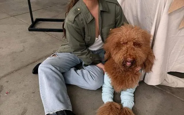 Chrissy Teigen Pets
