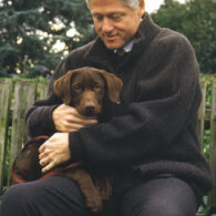 Bill Clinton's pet Buddy