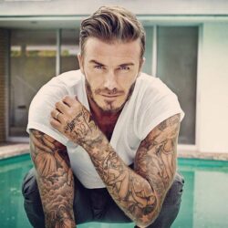 David Beckham Pets