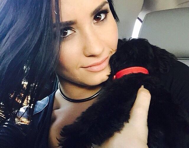 Demi Lovato Pets