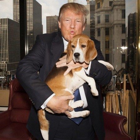 Donald Trump and a Beagle