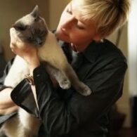 Portia de Rossi's pet George