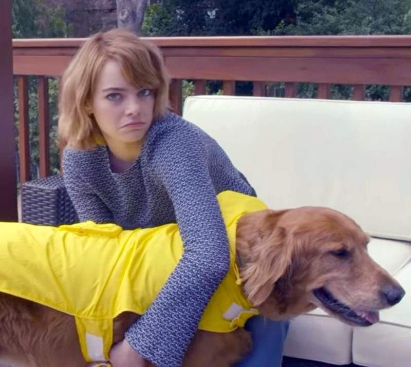 Emma Stone Andrew Garfield rescue dog Ren