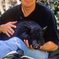 George Clooney photo with pig