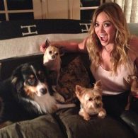 Hilary Duff with her dogs Beau and Dubois