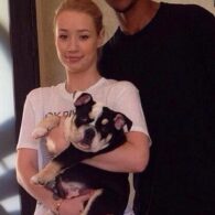 Iggy Azalea's pet Shrinkabull Jam Don't Shake Like That Jelli aka Jelli