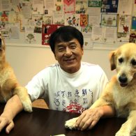 Jackie Chan and his 2 retrievers