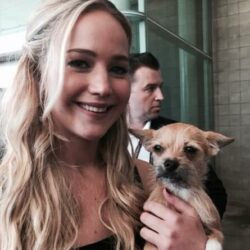 Jennifer Lawrence Pets