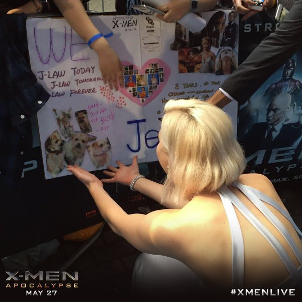 Jennifer Lawrence fan-made signs for her dog Pippi
