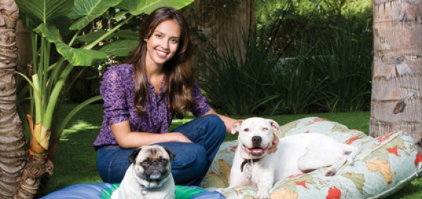Jessica Alba and her Dogs