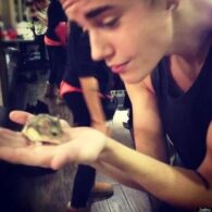 Justin Bieber's pet Pac