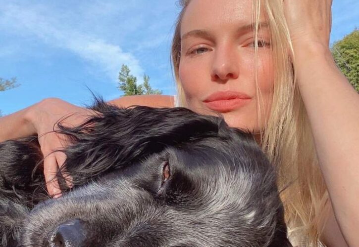 Kate Bosworth Pets