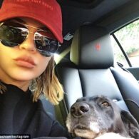 Kylie Jenner's pet Gabbana