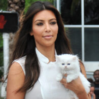 Kim Kardashian's pet Mercy