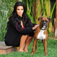 Kim Kardashian's pet Rocky