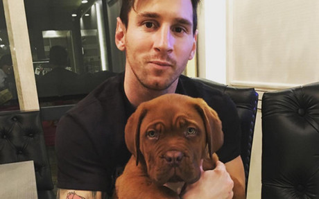 Lionel Messi Pets - Celebrity Pet Worth