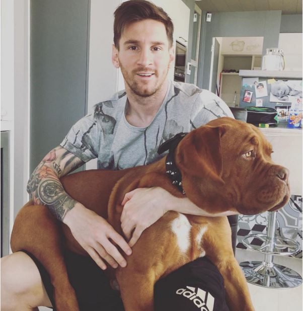 Messi Dog - Celebrity Pet Worth