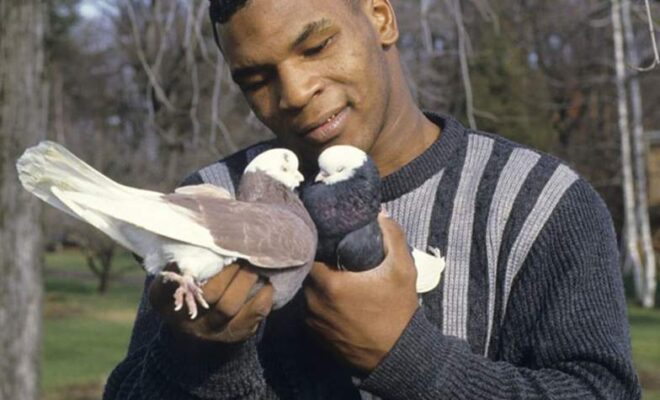 Mike Tyson Pets