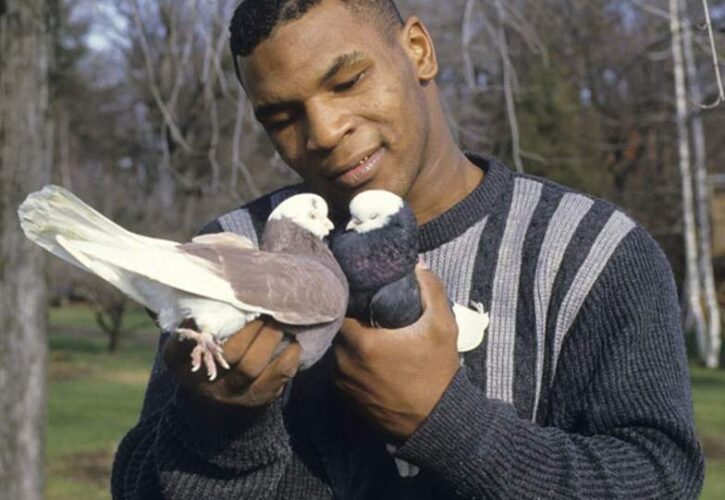 Mike Tyson Pets