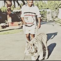 Mike Tyson walks his tiger