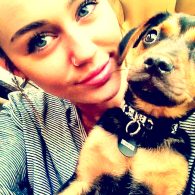 Miley Cyrus - Dog Instagram