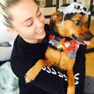Miley Cyrus' pet Happy
