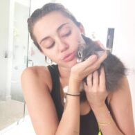 Miley Cyrus' pet LiLo