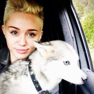 Miley Cyrus - Husky