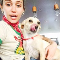 Miley Cyrus and her fashionable dogs