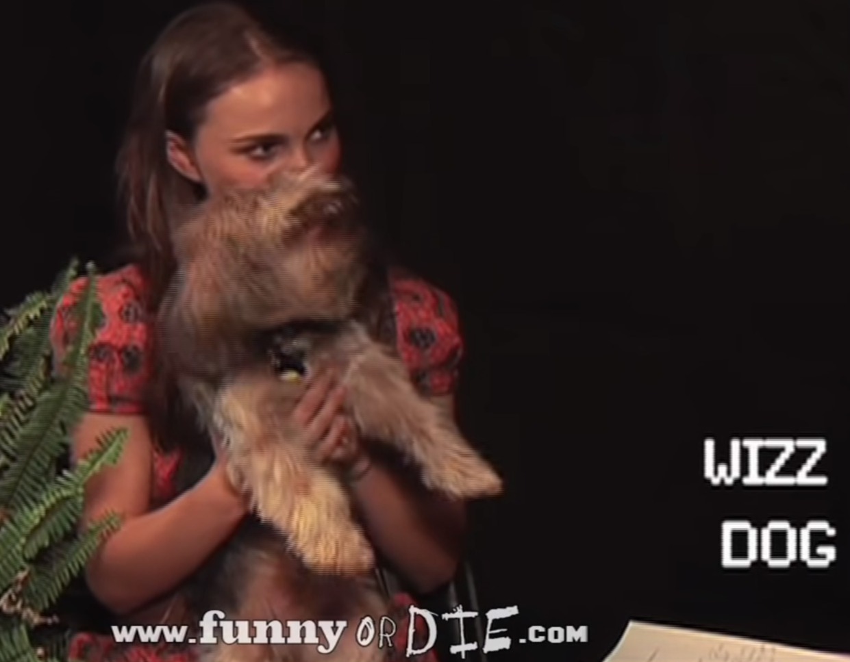 Natalie Portman dog Wiz