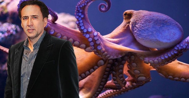 Nicolas Cage's pet Octopus named Cool that he paid $150,000 for.