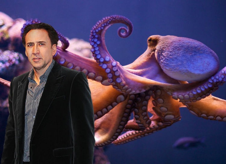 Nicolas Cage - Octopus